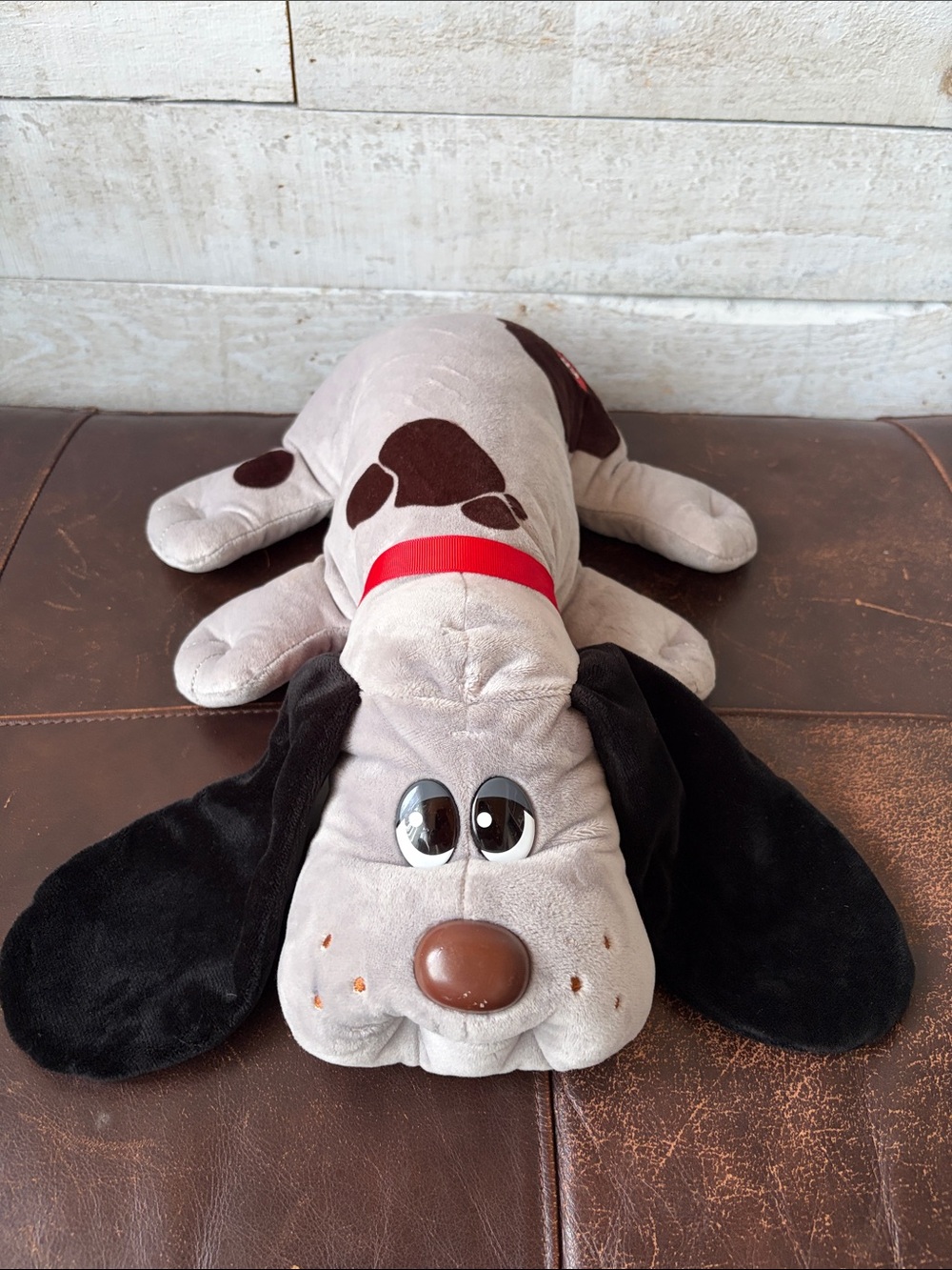 Pound Puppy Bowie